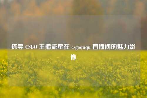 探寻 CSGO 主播流星在 csgoququ 直播间的魅力影像