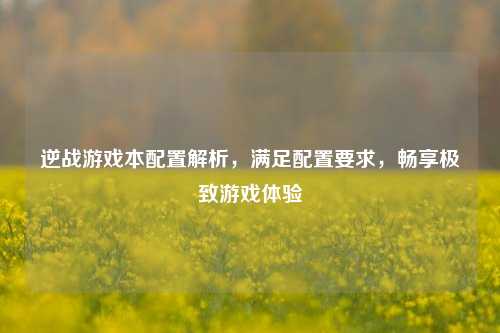 逆战游戏本配置解析,满足配置要求,畅享极致游戏体验