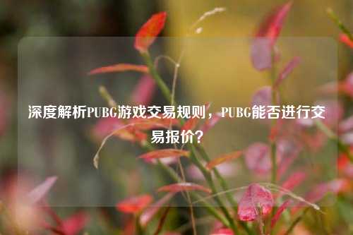 深度解析PUBG游戏交易规则,PUBG能否进行交易报价?