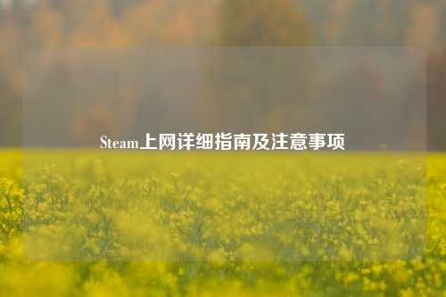 Steam上网详细指南及注意事项