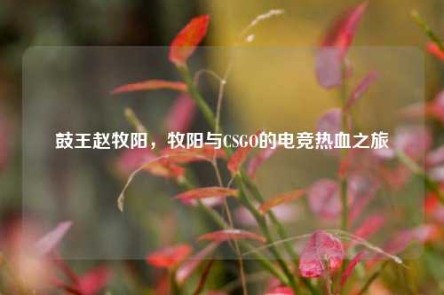 鼓王赵牧阳,牧阳与CSGO的电竞热血之旅