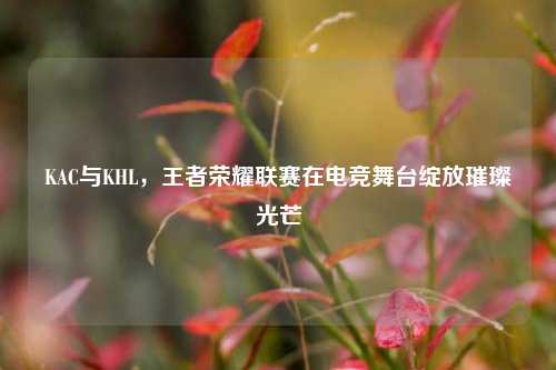KAC与KHL,王者荣耀联赛在电竞舞台绽放璀璨光芒