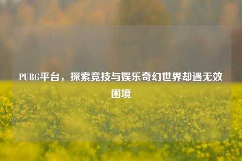 PUBG平台,探索竞技与娱乐奇幻世界却遇无效困境