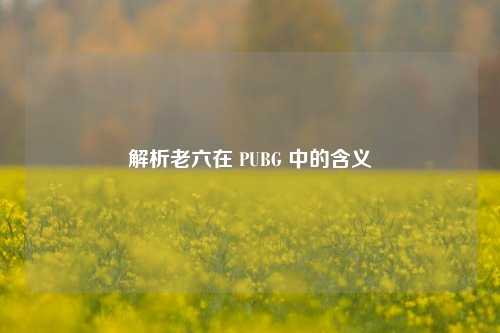 解析老六在 PUBG 中的含义