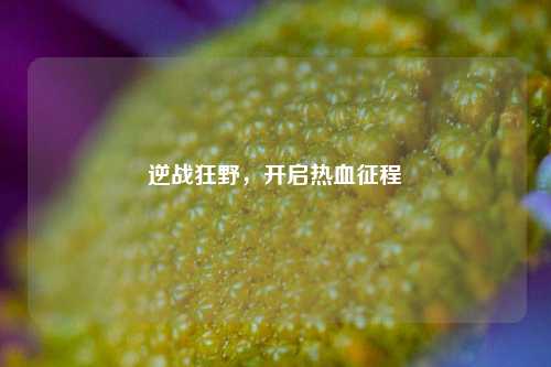 逆战狂野,开启热血征程
