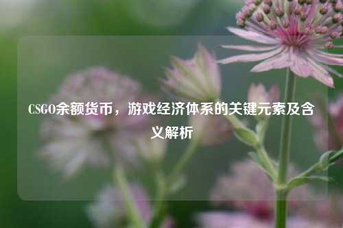 CSGO余额货币,游戏经济体系的关键元素及含义解析