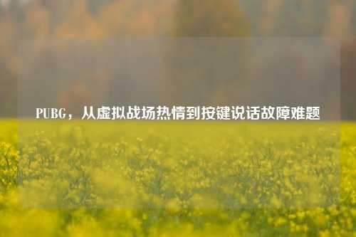PUBG,从虚拟战场热情到按键说话故障难题