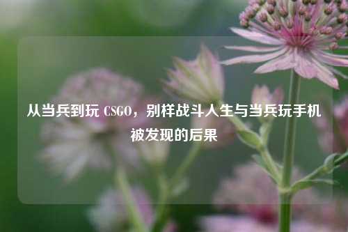 从当兵到玩 CSGO,别样战斗人生与当兵玩手机被发现的后果