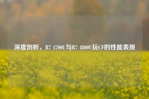 深度剖析,R7 4700U与R7 4800U玩CF的性能表现