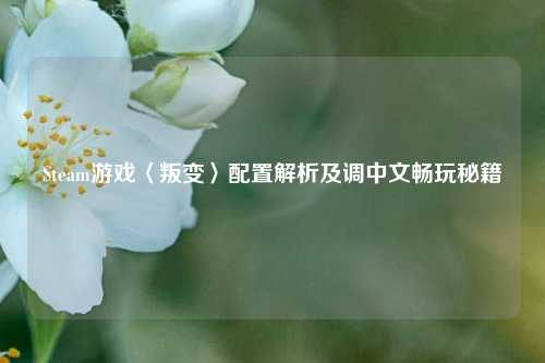 Steam游戏〈叛变〉配置解析及调中文畅玩秘籍