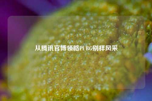 从腾讯官博领略PUBG别样风采