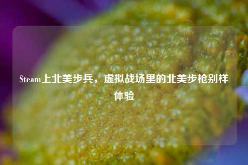Steam上北美步兵,虚拟战场里的北美步枪别样体验