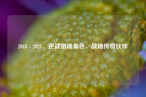 2018 - 2021,逆战猎场角色,战场传奇伙伴