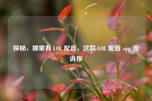 探秘,哪里有 LOL 配音,这款 LOL 配音 app 告诉你