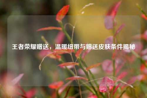王者荣耀赠送,温暖纽带与赠送皮肤条件揭秘