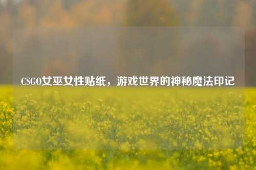 CSGO女巫女性贴纸,游戏世界的神秘魔法印记