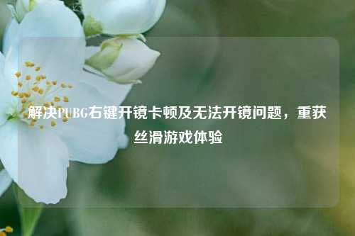 解决PUBG右键开镜卡顿及无法开镜问题,重获丝滑游戏体验