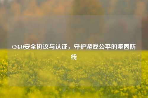 CSGO安全协议与认证,守护游戏公平的坚固防线