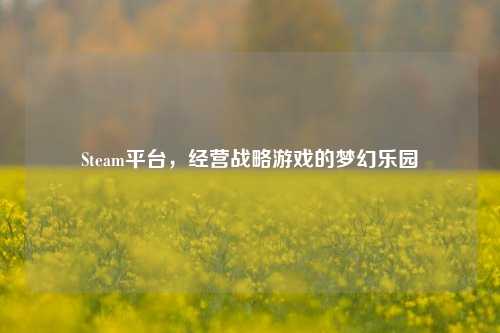 Steam平台,经营战略游戏的梦幻乐园