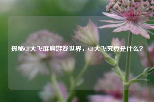 探秘CF大飞麻麻游戏世界,CF大飞究竟是什么?