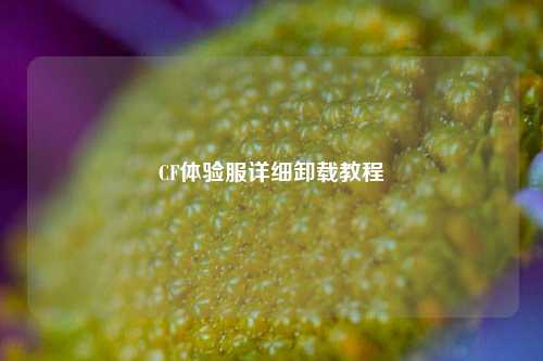 CF体验服详细卸载教程