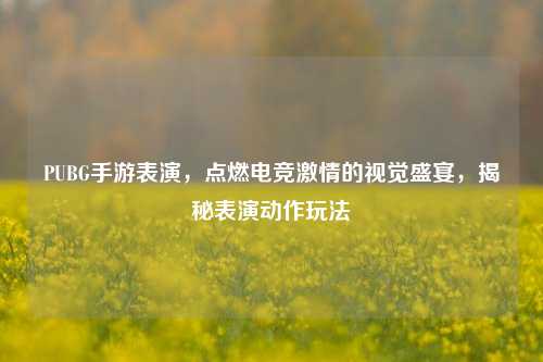 PUBG手游表演,点燃电竞激情的视觉盛宴,揭秘表演动作玩法