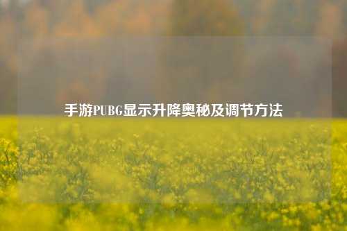 手游PUBG显示升降奥秘及调节方法