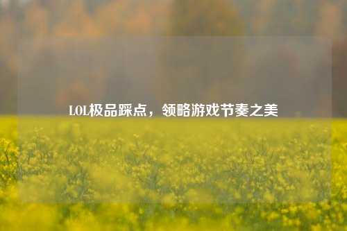 LOL极品踩点,领略游戏节奏之美