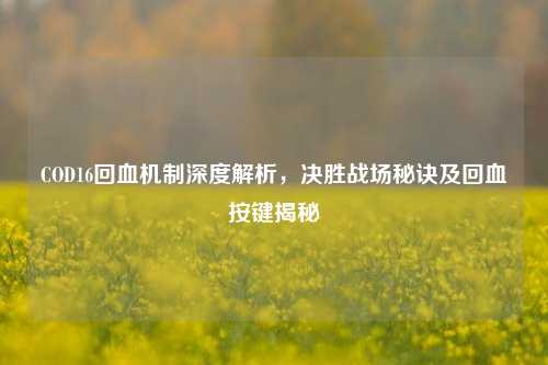 COD16回血机制深度解析，决胜战场秘诀及回血按键揭秘