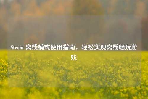 Steam 离线模式使用指南,轻松实现离线畅玩游戏