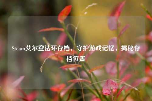 Steam艾尔登法环存档,守护游戏记忆,揭秘存档位置