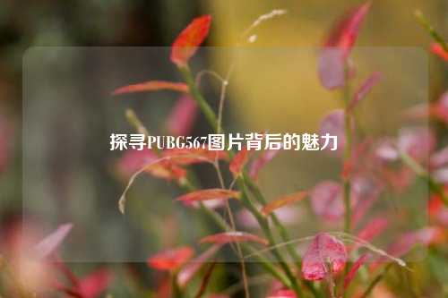 探寻PUBG567图片背后的魅力