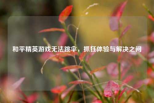 和平精英游戏无法跳伞,抓狂体验与解决之问